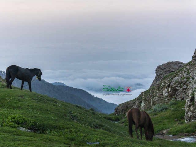 آب بر زنجان به قله رودخان